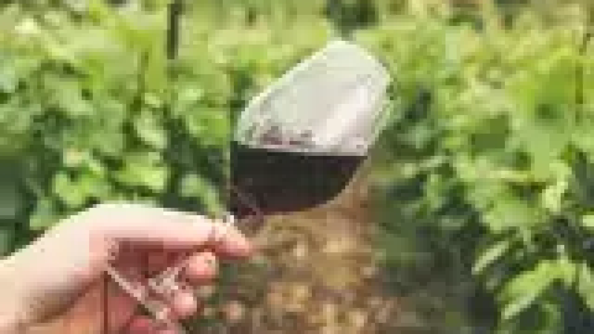 pexels-photo-2954924-160w