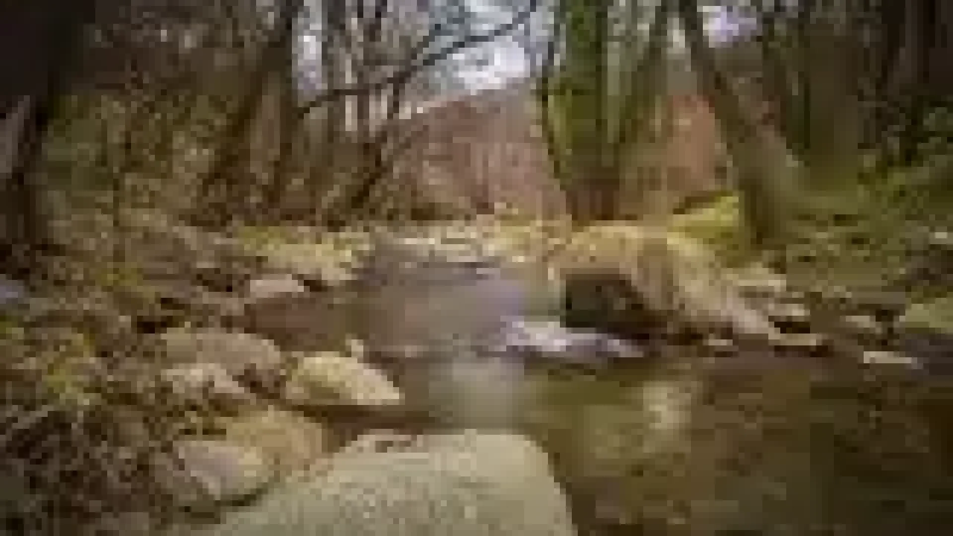 pexels-photo-354611-160w