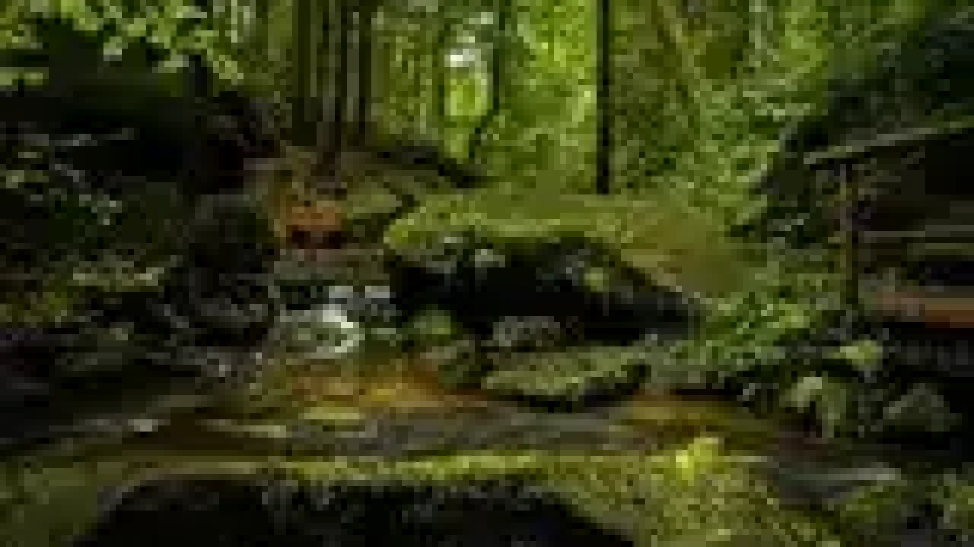 pexels-photo-355321-160w