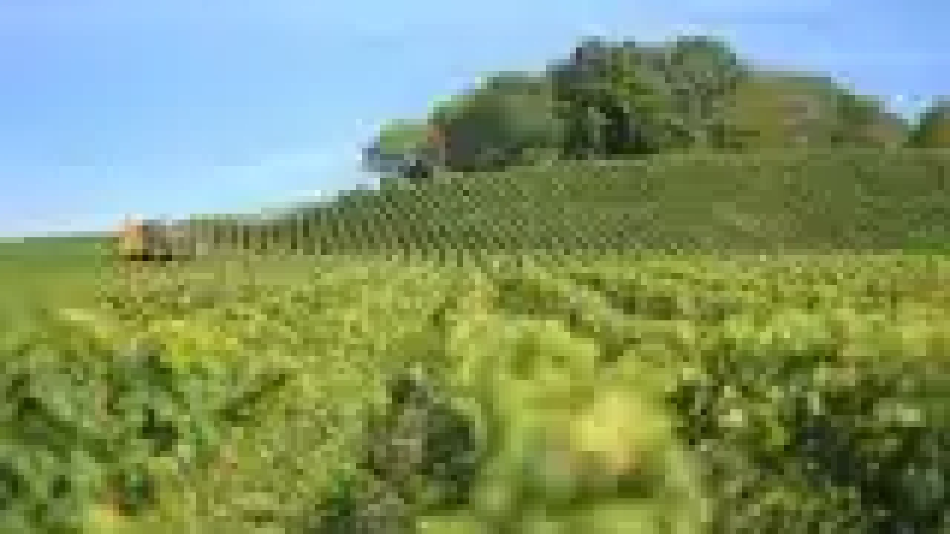 pexels-photo-360013-160w