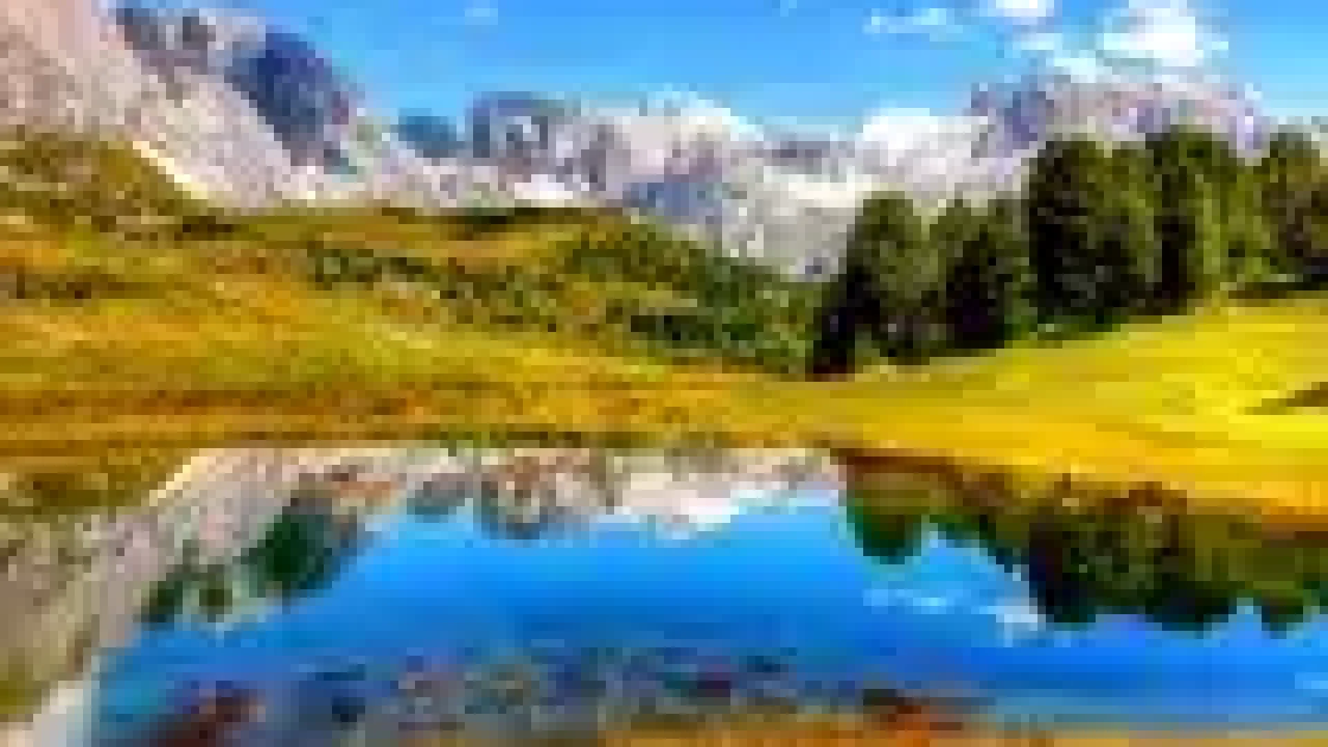 pexels-photo-371589-160w