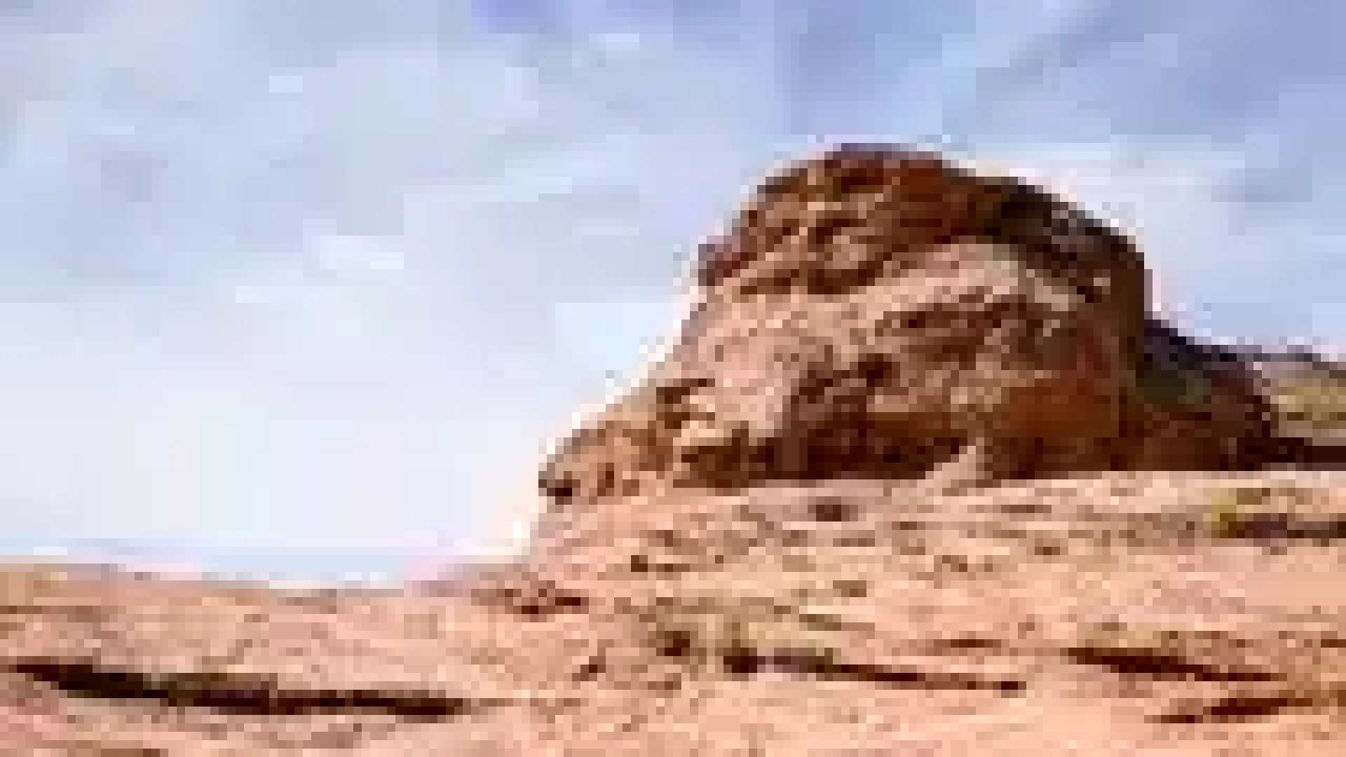 pexels-photo-442262-160w